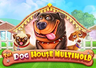 เว็บตรง god855.club The Dog House Multihold ทดลองเล่นฟรี