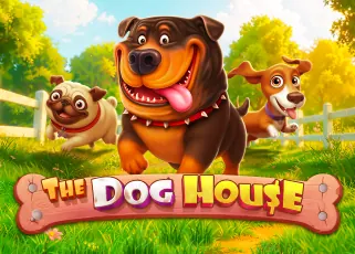 เว็บตรง god855.club The Dog House ทดลองเล่นฟรี